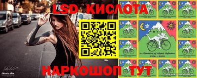 spice Заволжье
