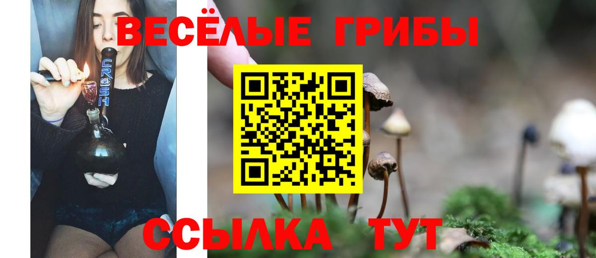 Лабинск  Галлюциногенные грибы Psilocybine cubensis  Вход с VPN  Галлюциногенные грибы Psilocybe 